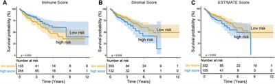 Identification and Validation of Immune-Related Prognostic Genes in the Tumor Microenvironment of Colon Adenocarcinoma